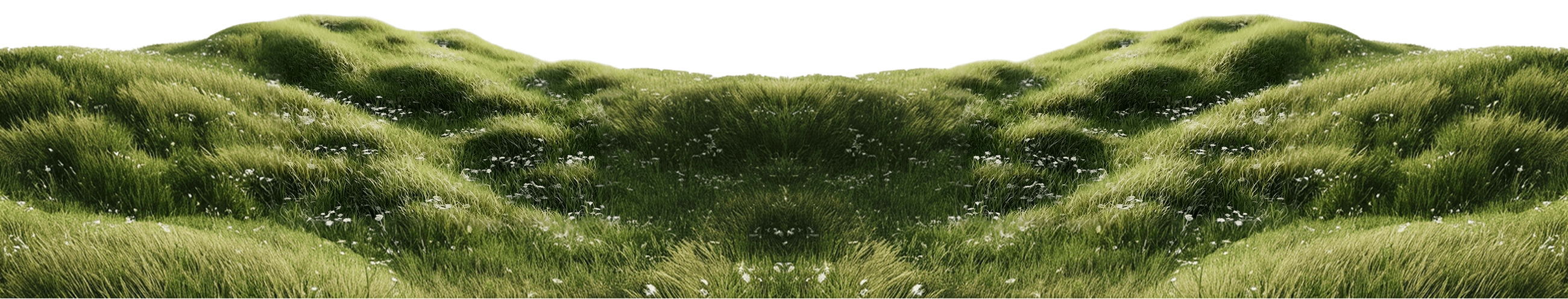 Hero Background